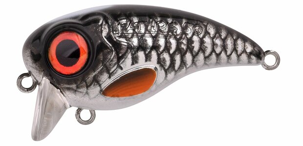 Spro Fat IRIS 50- Roach 5cm - 10g *